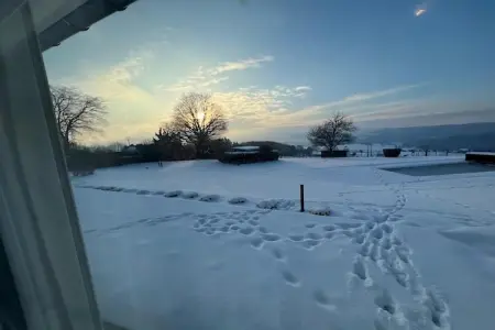 La Boiselée, Villa spacieuse avec piscine à Theux - Photo 38