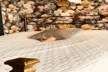 La Boiselée, Villa spacieuse avec piscine à Theux - Photo 39