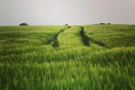 Landgoed Hoge Venen 30-pers, Maison luxueuse avec piscine intérieure à Malmedy, Belgique - Photo 33