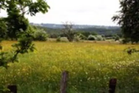 Landgoed Hoge Venen 30-pers, Maison luxueuse avec piscine intérieure à Malmedy, Belgique - Photo 34