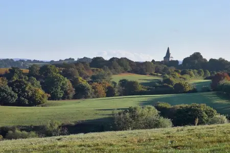 La Limbourgeoise, Maison de vacances avec sauna dans le Limbourg - Photo 23