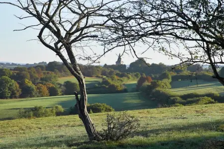 La Limbourgeoise, Maison de vacances avec sauna dans le Limbourg - Photo 24