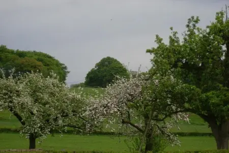 La Limbourgeoise, Maison de vacances avec sauna dans le Limbourg - Photo 27