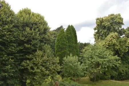 La Limbourgeoise, Maison de vacances avec sauna dans le Limbourg - Photo 31