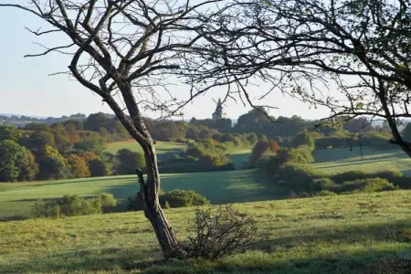 La Limbourgeoise, Maison de vacances avec sauna dans le Limbourg - Photo 33