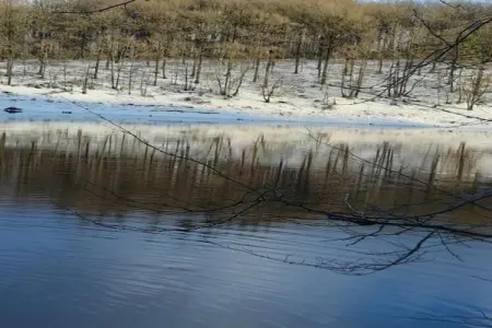 La Limbourgeoise, Maison de vacances avec sauna dans le Limbourg - Photo 38