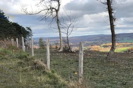 La Dolina, Joli chalet avec aire de jeux d'enfants à Durbuy en Belgique - Photo 29