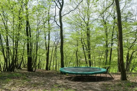 Au Lit de la Canelle, Maison de vacances moderne à Dalhem avec sauna - Photo 29