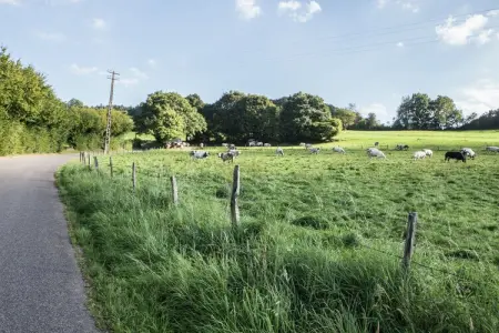 Amante, Maison de vacances moderne à Érezée avec jardin - Photo 24