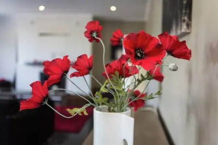 Amante, Maison de vacances moderne à Érezée avec jardin - Photo 27