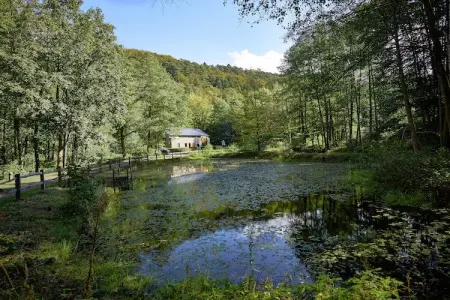La Statte, Maison de vacances avec jardin dans la forêt à Jalhay - Photo 19