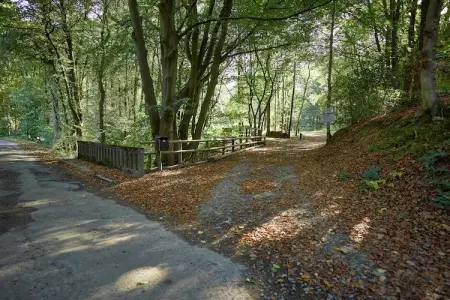 La Statte, Maison de vacances avec jardin dans la forêt à Jalhay - Photo 31