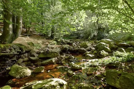 La Statte, Maison de vacances avec jardin dans la forêt à Jalhay - Photo 32