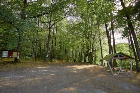 La Statte, Maison de vacances avec jardin dans la forêt à Jalhay - Photo 33