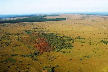 La Statte, Maison de vacances avec jardin dans la forêt à Jalhay - Photo 36