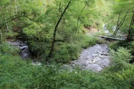 La Statte, Maison de vacances avec jardin dans la forêt à Jalhay - Photo 38