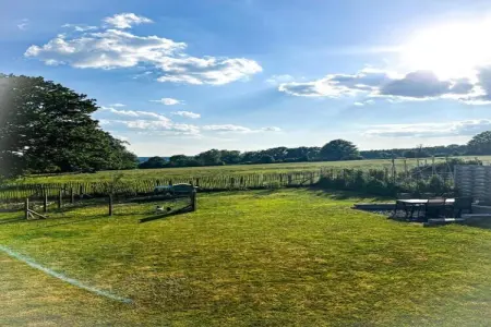 La Statte, Maison de vacances avec jardin dans la forêt à Jalhay - Photo 39