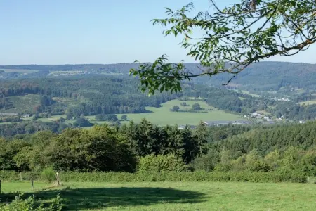 La Belle Reine, Villa vintage avec jardin privé près de la forêt à Rendeux - Photo 30
