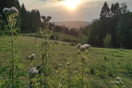 La Belle Reine, Villa vintage avec jardin privé près de la forêt à Rendeux - Photo 33