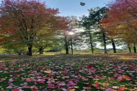 La Belle Reine, Villa vintage avec jardin privé près de la forêt à Rendeux - Photo 34