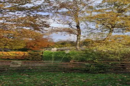 La Belle Reine, Villa vintage avec jardin privé près de la forêt à Rendeux - Photo 36