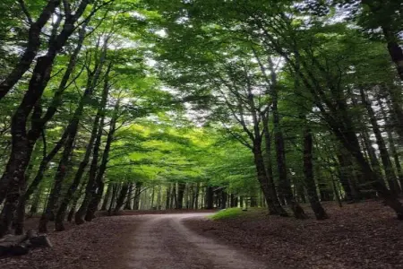 Le Paradis et Espace, Maison de vacances moderne avec sauna à Rendeux - Photo 29