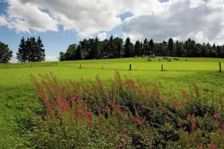 Le Paradis et Espace, Maison de vacances moderne avec sauna à Rendeux - Photo 32