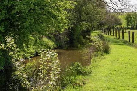Le Refuge de Césyl, Superbe maison de vacances à Bertrix, avec jardin privé - Photo 22