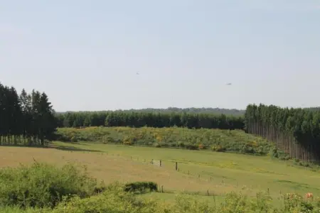 Le Refuge de Césyl, Superbe maison de vacances à Bertrix, avec jardin privé - Photo 32