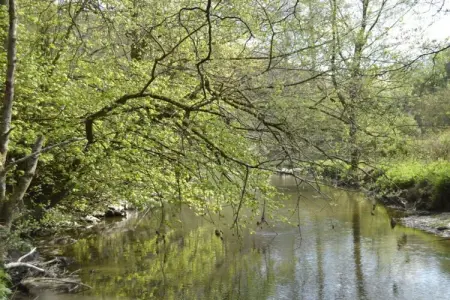 Le Refuge de Césyl, Superbe maison de vacances à Bertrix, avec jardin privé - Photo 33