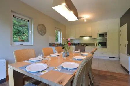 Villa Swing, Villa moderne avec sauna à Durbuy - Photo 1