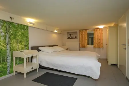 The Heart and Joy, Belle villa avec jardin clôturé près de la forêt à Rendeux - Photo 20