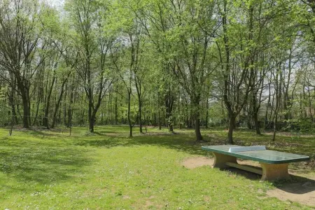 The Heart and Joy, Belle villa avec jardin clôturé près de la forêt à Rendeux - Photo 30