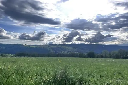 The Heart and Joy, Belle villa avec jardin clôturé près de la forêt à Rendeux - Photo 32