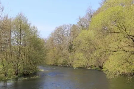 The Heart and Joy, Belle villa avec jardin clôturé près de la forêt à Rendeux - Photo 34