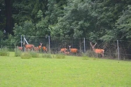 Le Vieux Tilleul du Château, Maison de vacances boutique avec piscine à Gesves - Photo 26