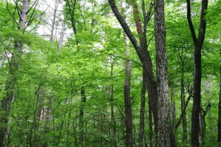 Le Vieux Tilleul du Château, Maison de vacances boutique avec piscine à Gesves - Photo 36