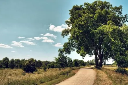 In de oude Bedstee, Superbe maison de vacances avec jardin à Maasmechelen - Photo 30