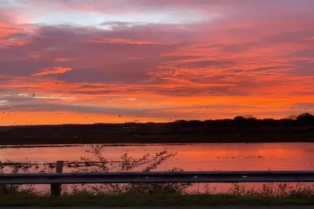 In de oude Bedstee, Superbe maison de vacances avec jardin à Maasmechelen - Photo 34
