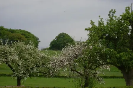 De Wever, Maison de vacances luxueuse avec jardin à Glabbeek - Photo 28