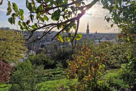 De Wever, Maison de vacances luxueuse avec jardin à Glabbeek - Photo 35