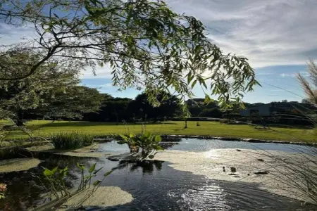 De Wever, Maison de vacances luxueuse avec jardin à Glabbeek - Photo 38