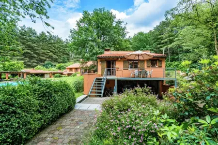 Streekbossen, Maison de vacances confortable à Tessenderlo proche forêt - Photo 4
