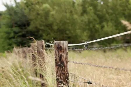 Streekbossen, Maison de vacances confortable à Tessenderlo proche forêt - Photo 32
