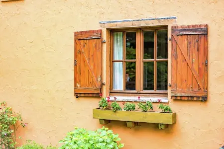 Streekbossen, Maison de vacances confortable à Tessenderlo proche forêt - Photo 35
