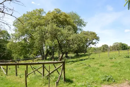 Petit pré, Maison de vacances cosy à La Rouge Minière. Vue sur les prés - Photo 25