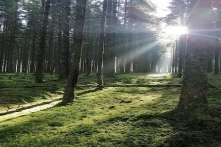 Petit pré, Maison de vacances cosy à La Rouge Minière. Vue sur les prés - Photo 37