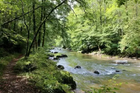Villa Mosa, Demeure confortable à Wanze avec sauna et piscine - Photo 37