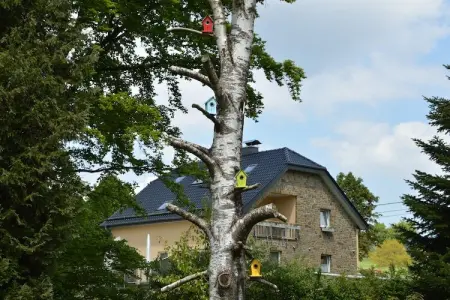 Haus Annick, Belle maison de vacances au bord de la forêt à Nidrum - Photo 27