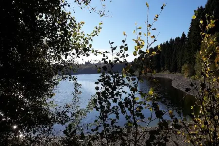 Canneberge, Maison de vacances Quaint à Elsenborn près de la forêt - Photo 20